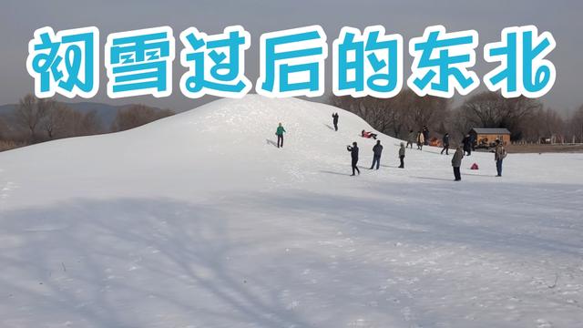 沈阳的第一场雪作文四年级