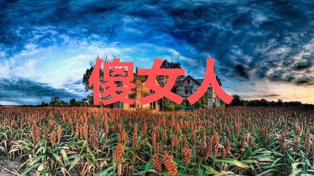 关于傻女人的句子