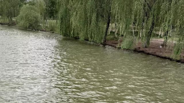 寫夏天炎熱的詞句詩