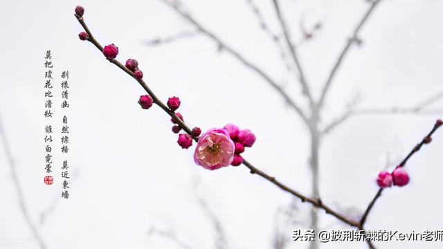 古诗村居解释句意