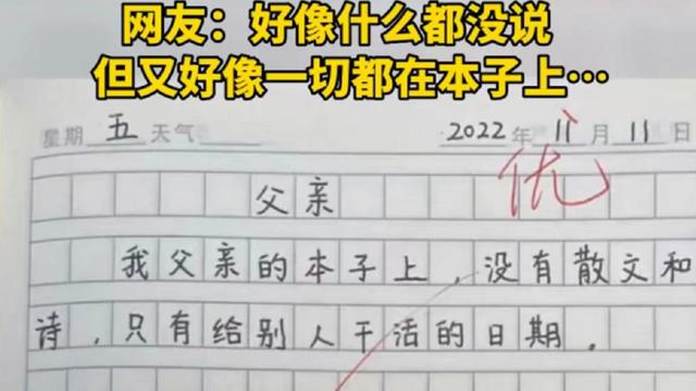 描写爸爸的作文