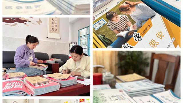 小学实验教学工作计划