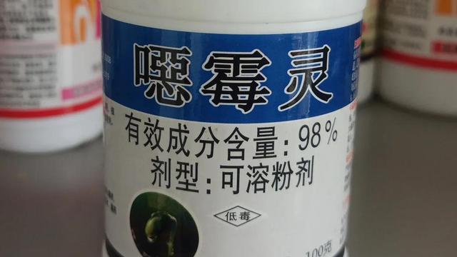 大学生工作日志（通用）