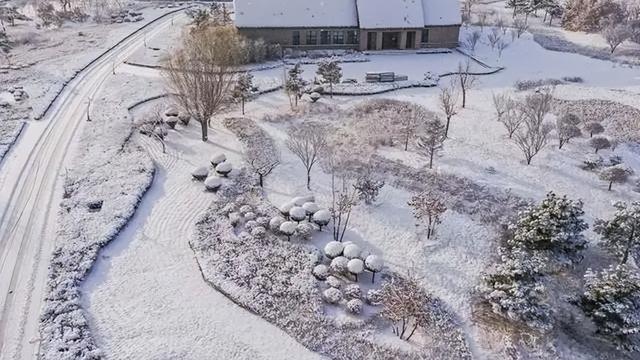 下雪了要干什么