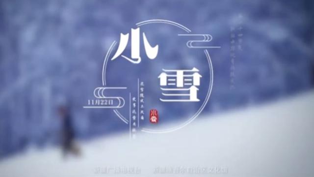 二十四节气小学小雪作文