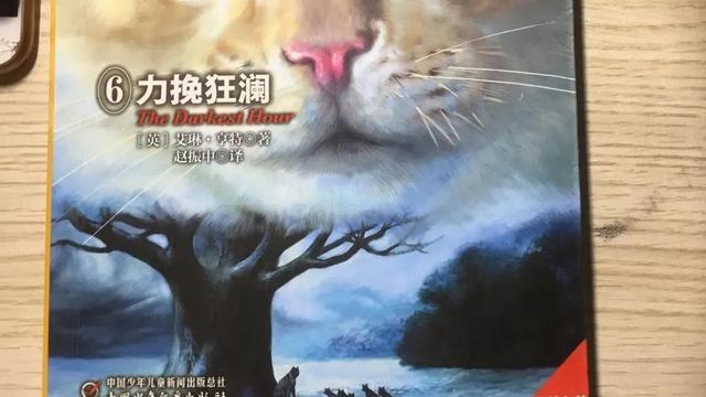 读猫武士有感作文