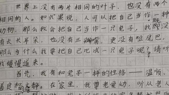精选四年级的我作文300字十篇