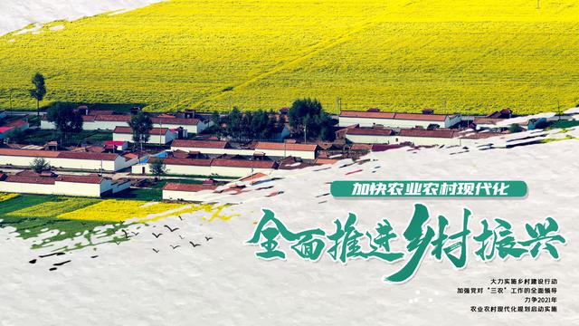 乡村网络建设大全