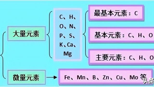 高考生物知识点