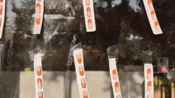 发货延误道歉信范文