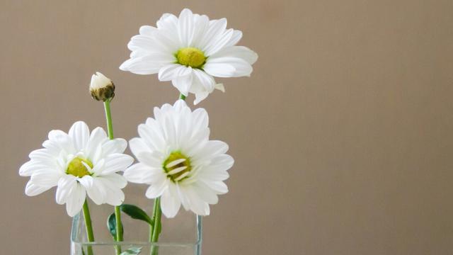 清明节文案