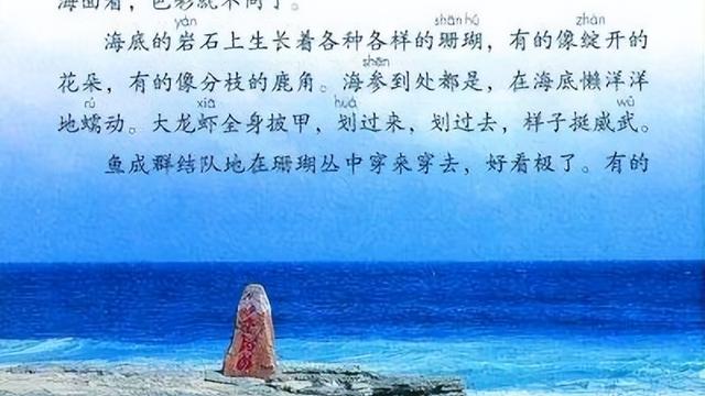 富饶的西沙群岛教学反思