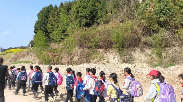 学校组织春游的文案精选