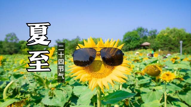 夏至的农业谚语