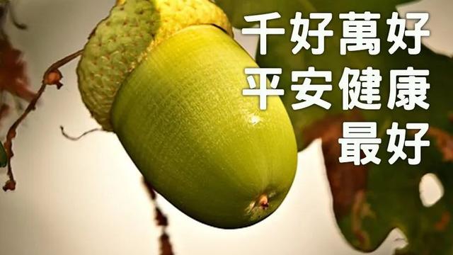 周末的句子大全