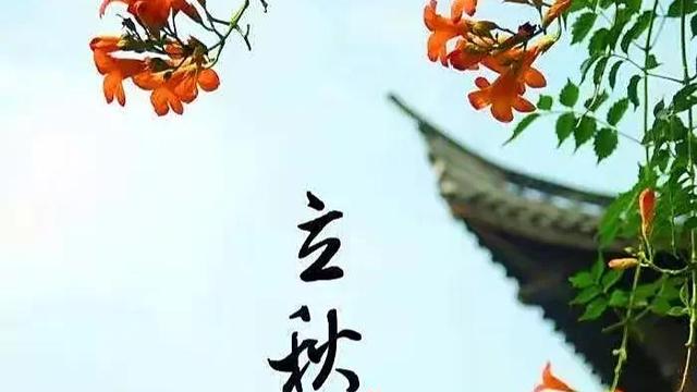 北京高中招生划片吗