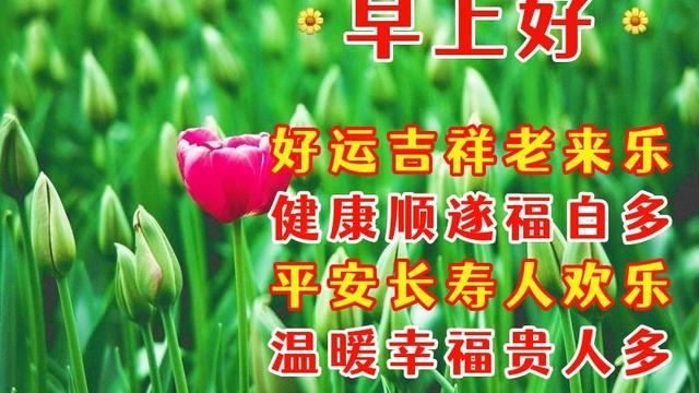 老人长寿祝福语诗句