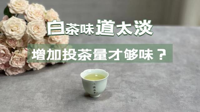 泡绿茶够味的方法