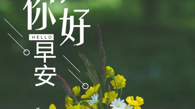 清晨阳光的句子简短