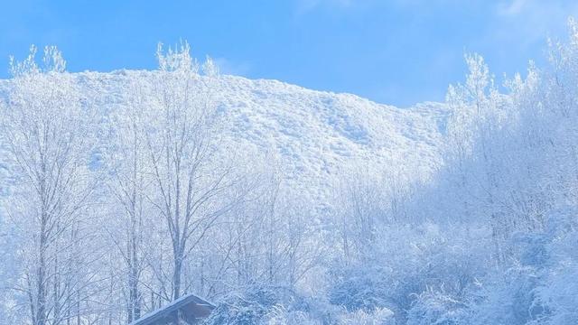 下大雪适合发朋友圈的句子