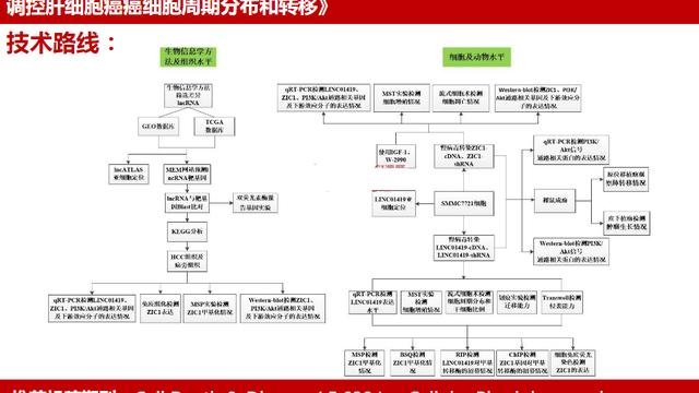 科学实验设计10篇