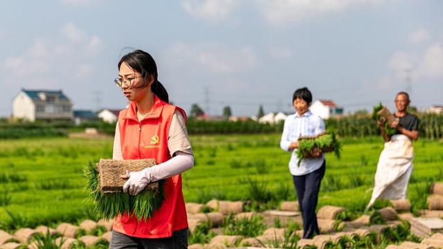 一村一名大学生10篇