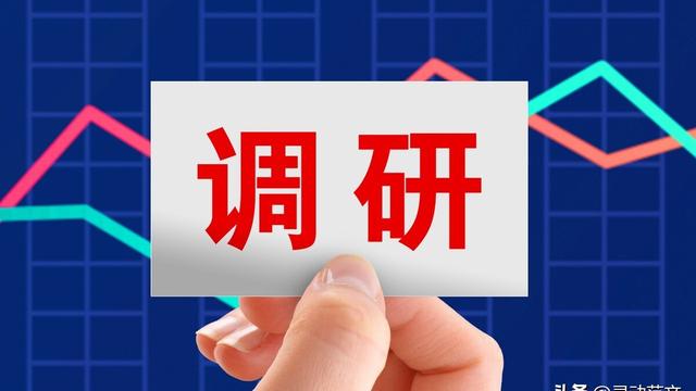 系统考察报告模板