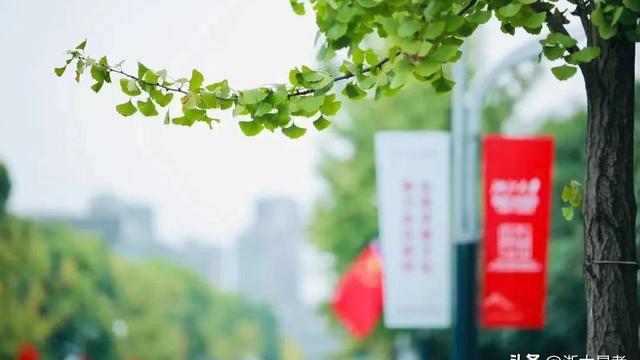 浙江大学培训心得体会通用