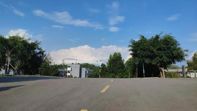 社会实践心得体会优秀