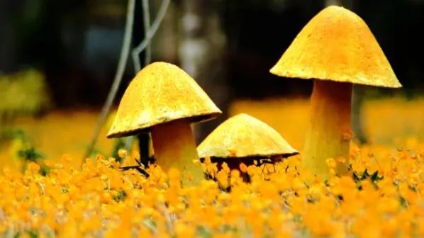 发朋友圈文案积极向上短句