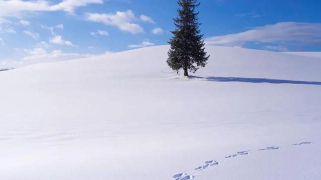 雪地上的足迹