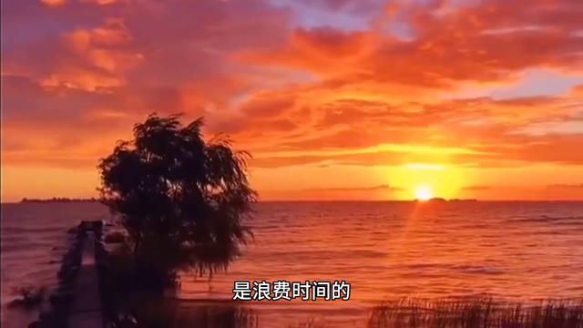 那一次，我读懂了自然作文600字精选