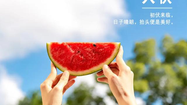 入伏的诗句经典语录