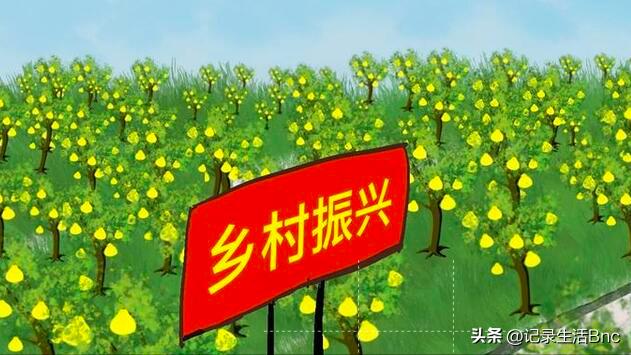 乡村产业振兴的建议精选6篇