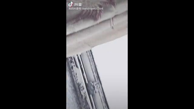 我的家庭成员作文通用