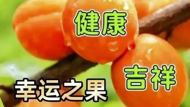 实用的新版早安QQ问候语