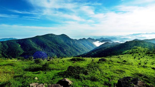 美丽的武夷山原文课文