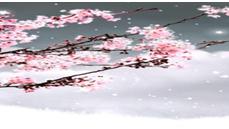 财富高中作文