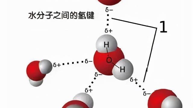 对结构化的水分子团的全新认识