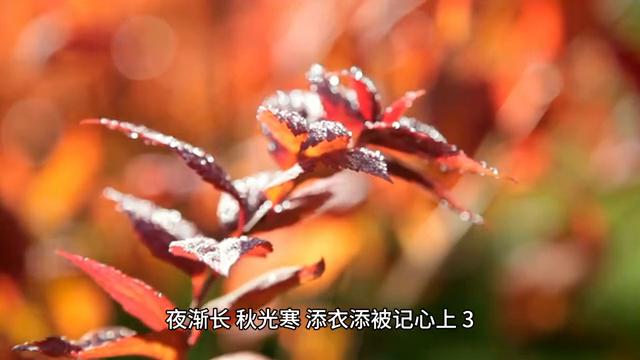 霜降发的文案精选
