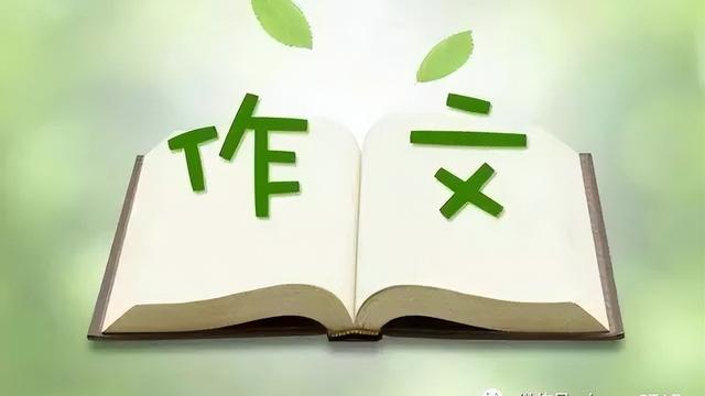 作文开头大全可以套用