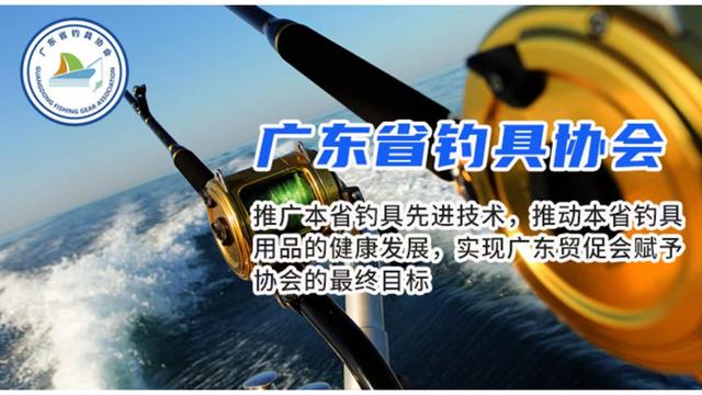协会活动总结（通用）