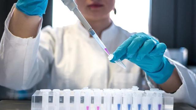 【推荐】七年级生物教学计划
