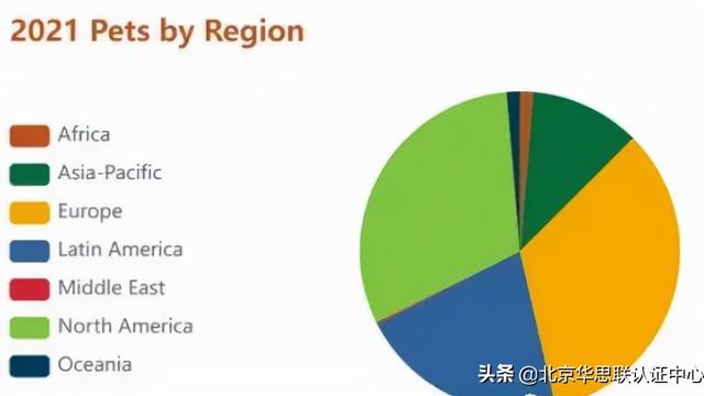 有关饲料实习报告