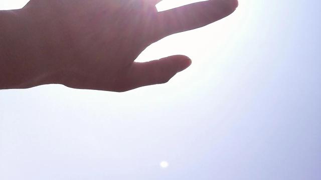 高中毕业证网上可以查询吗