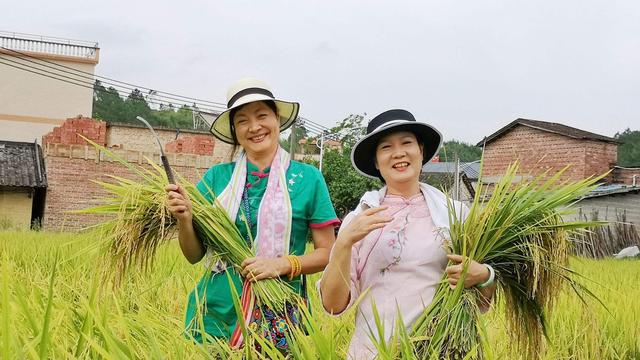 利用民间资本发展我国经济的几点思考