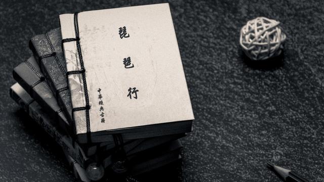 琵琶行文学短评