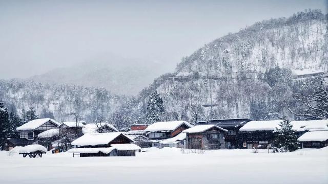 雪景的描写10篇