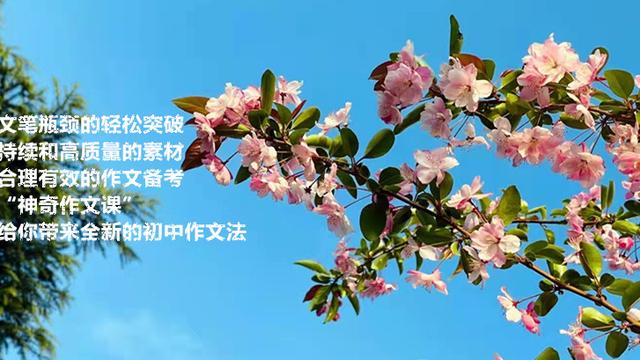 清晰的面孔作文800字