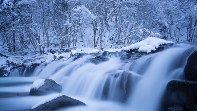 描写雪的语句10篇